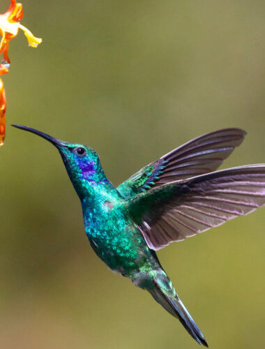 wellness on whyte blog post