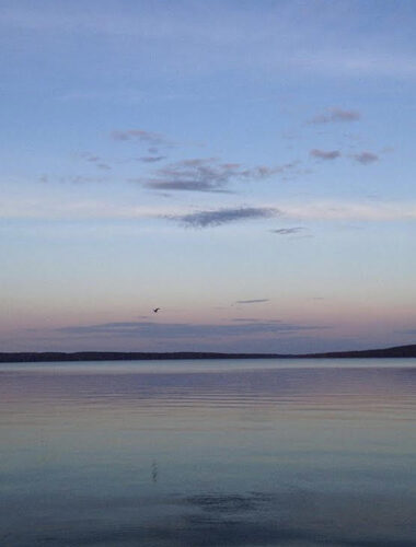 I am Calm - wellness on whyte