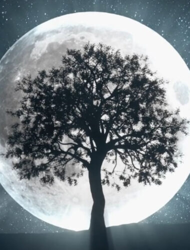 geha-gift wellness on whyte