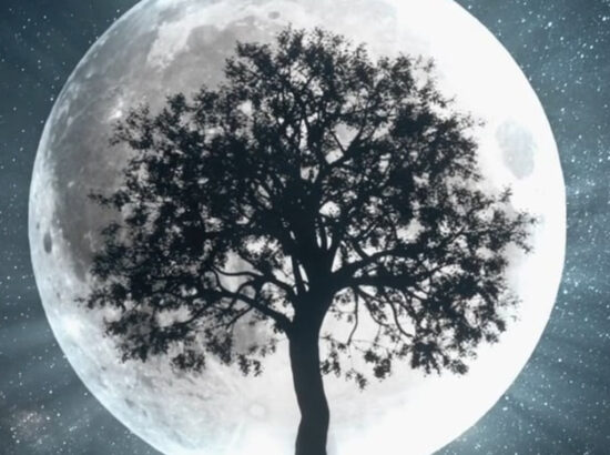 geha-gift wellness on whyte