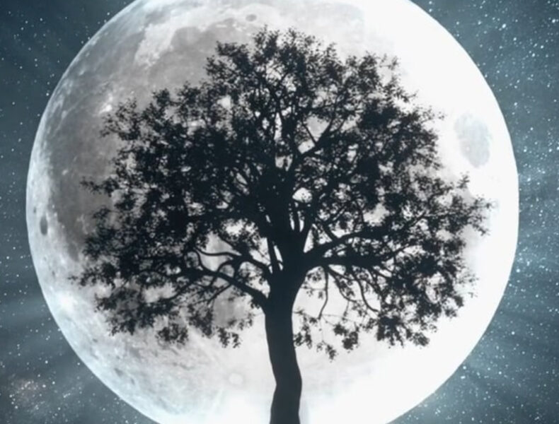 geha-gift wellness on whyte